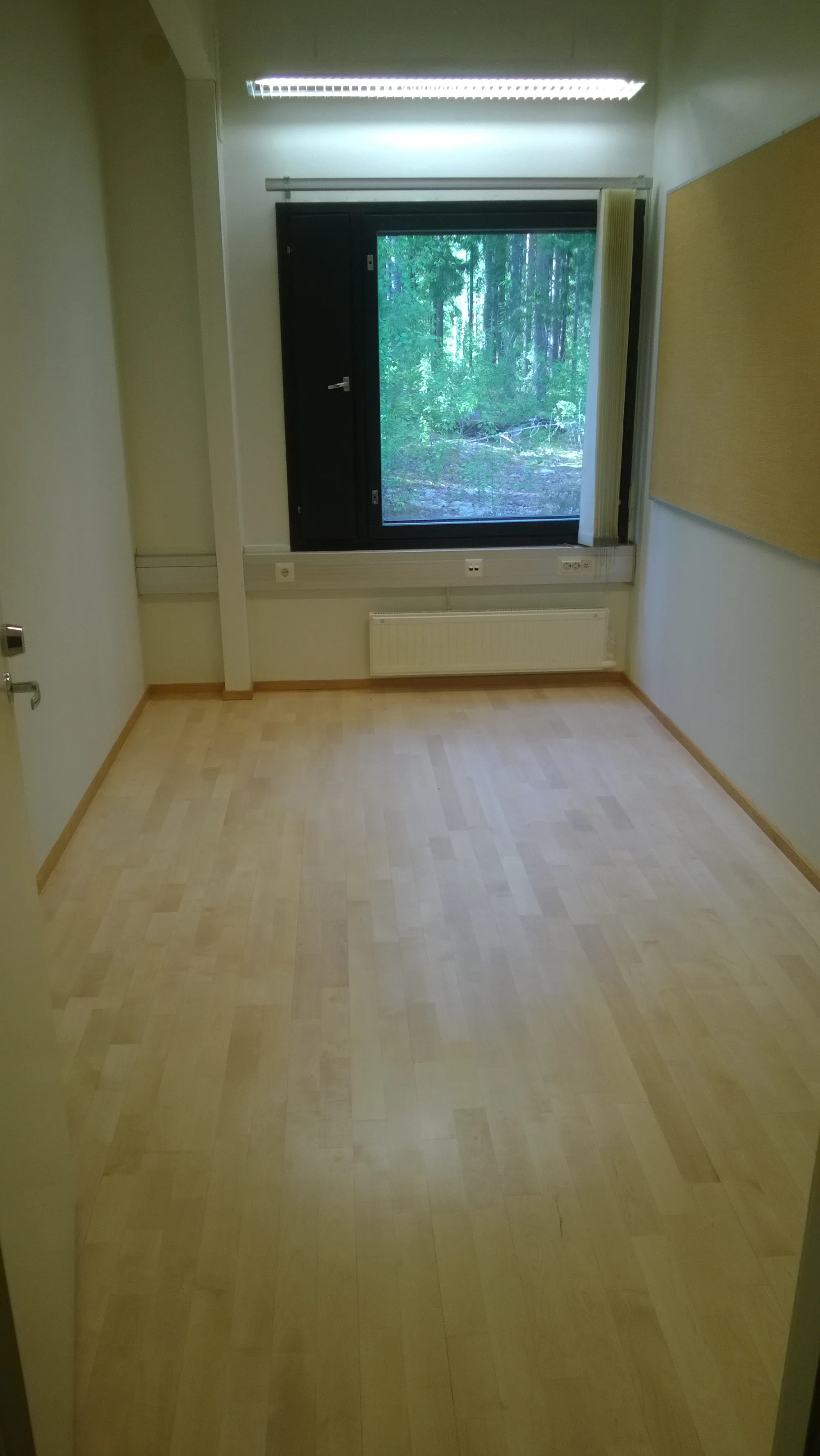 Tyhjä toimistohuone, jonka ikkunasta näkyy metsä