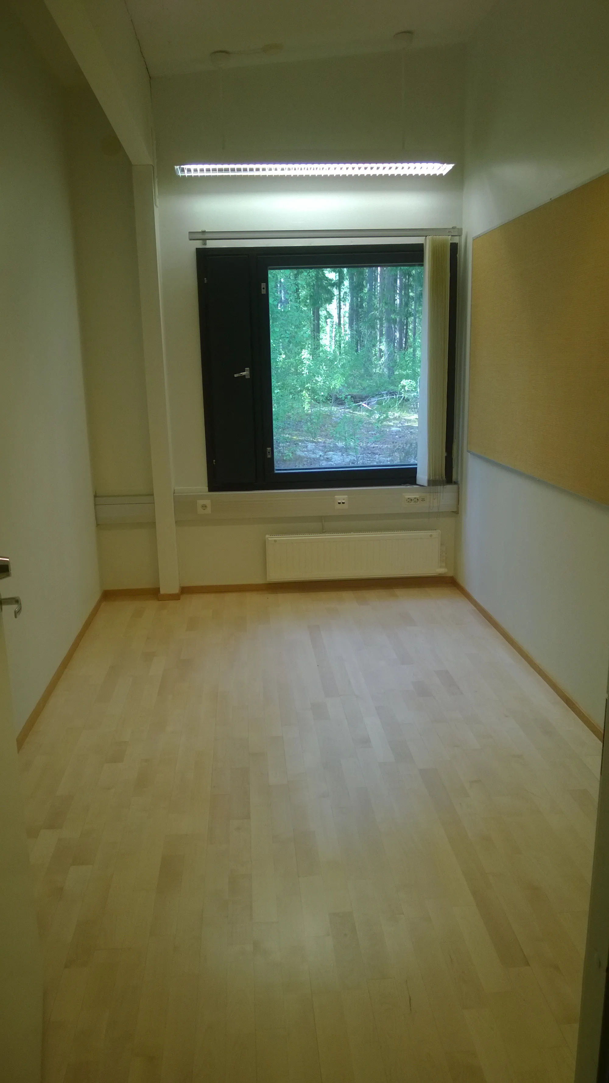 Toimistohuone, vaalea lattia ja ikkuna metsään